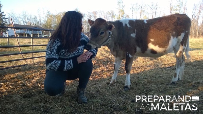 preparando-las-maletas-tatiana-hevia-viajar-gratis-5