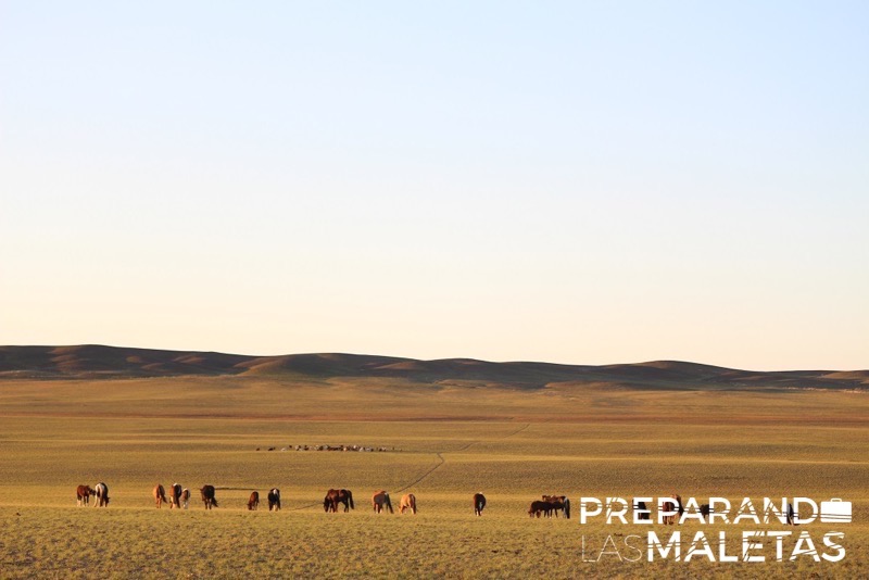 Fotografía por: A la Vuelta.