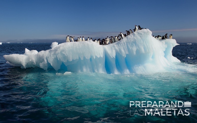 preparando-las-maletas-varios-0001