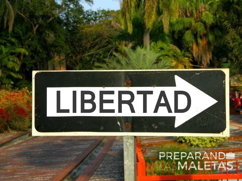 preparando-las-maletas-varios-20