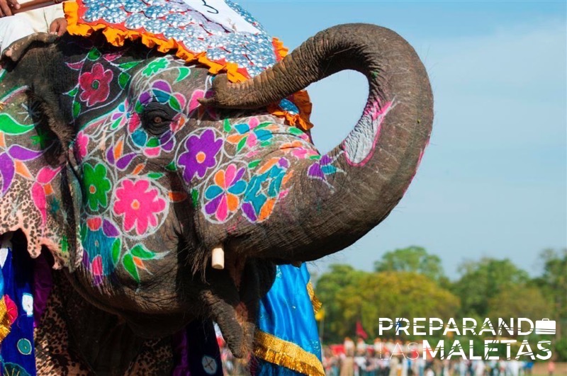 preparando-las-maletas-india