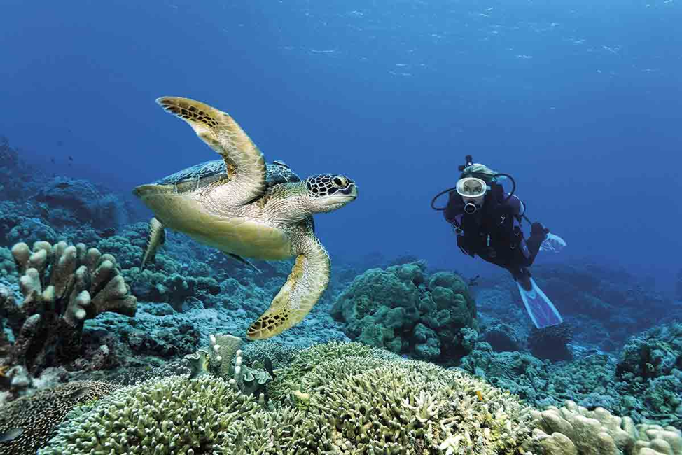 Australia califica la situación en la Gran Barrera de Coral como “muy grave” debido a la crisis climática
