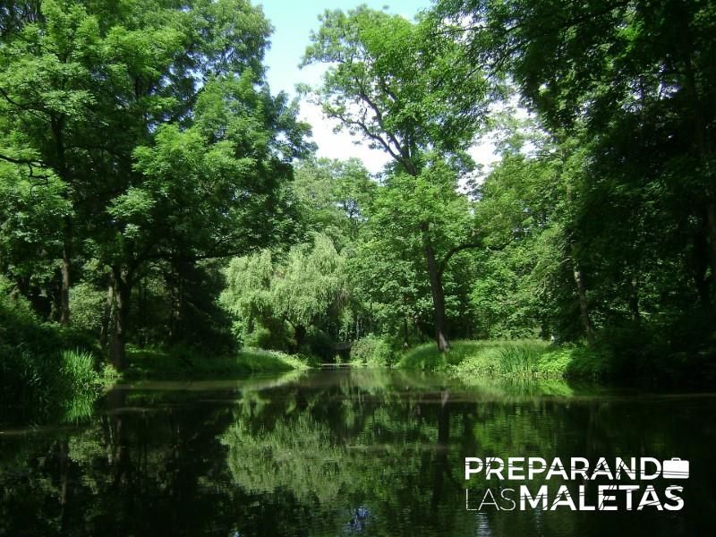 Los países más arbolados del mundo