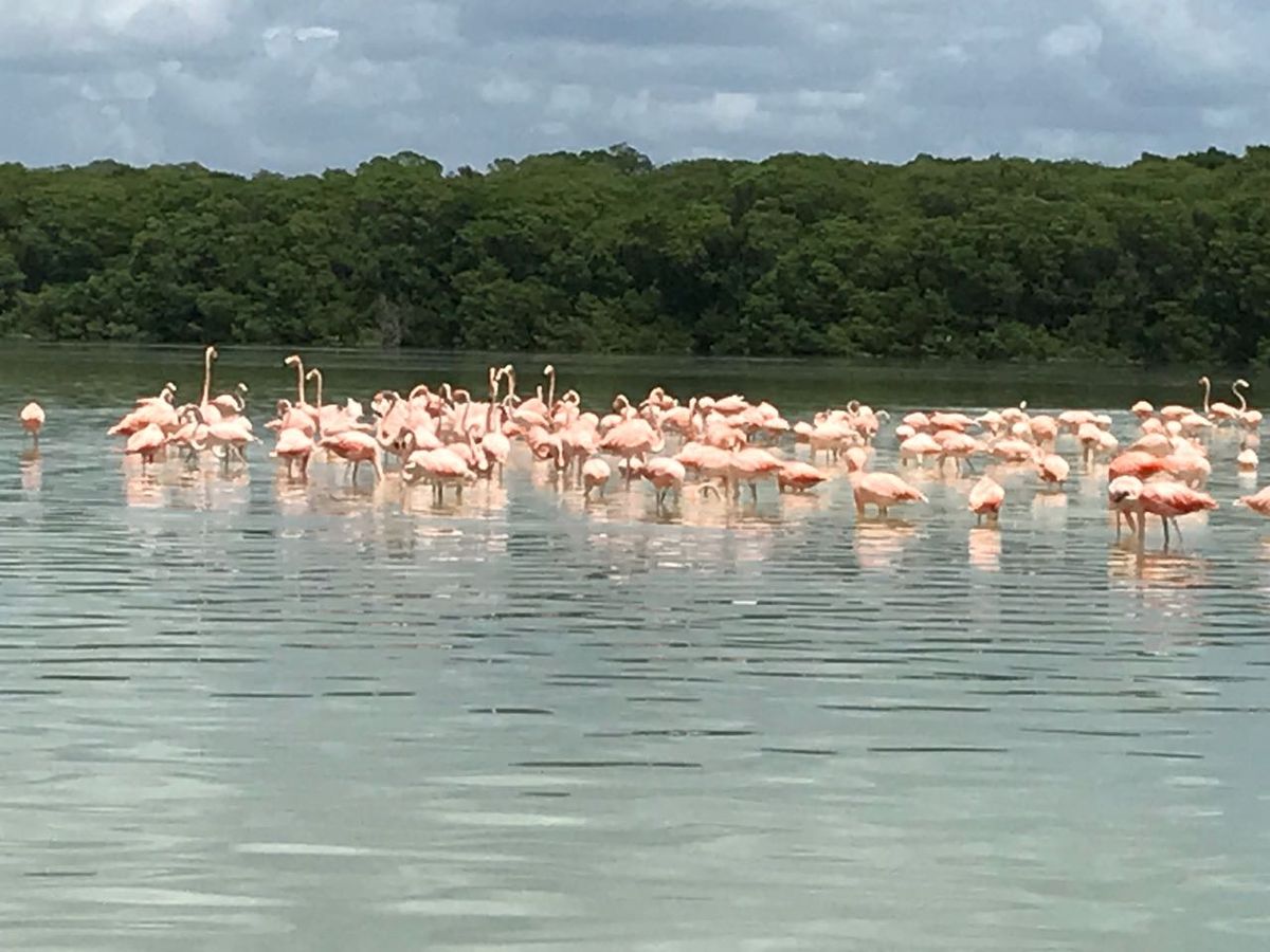 Roadtrip: Yucatán, Agosto