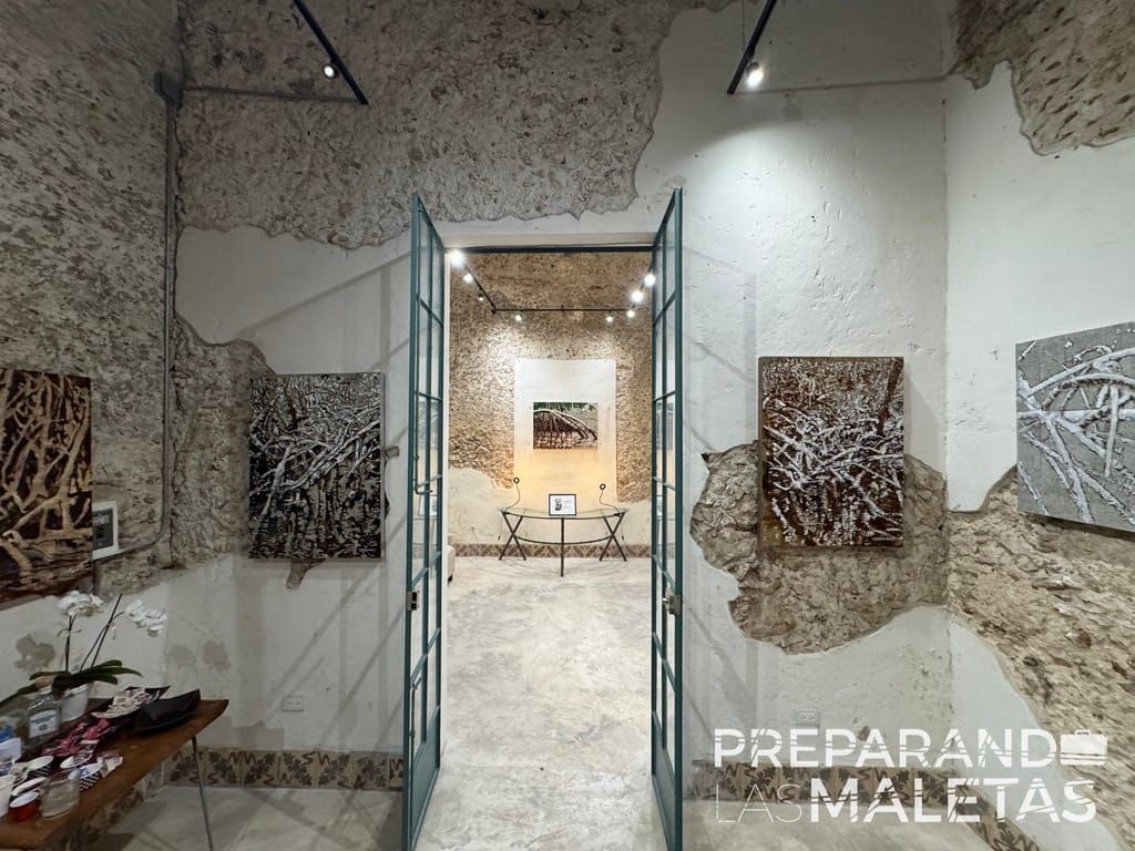 “Manglares”: la obra de Sara London que transforma la conciencia ambiental en arte en Mérida