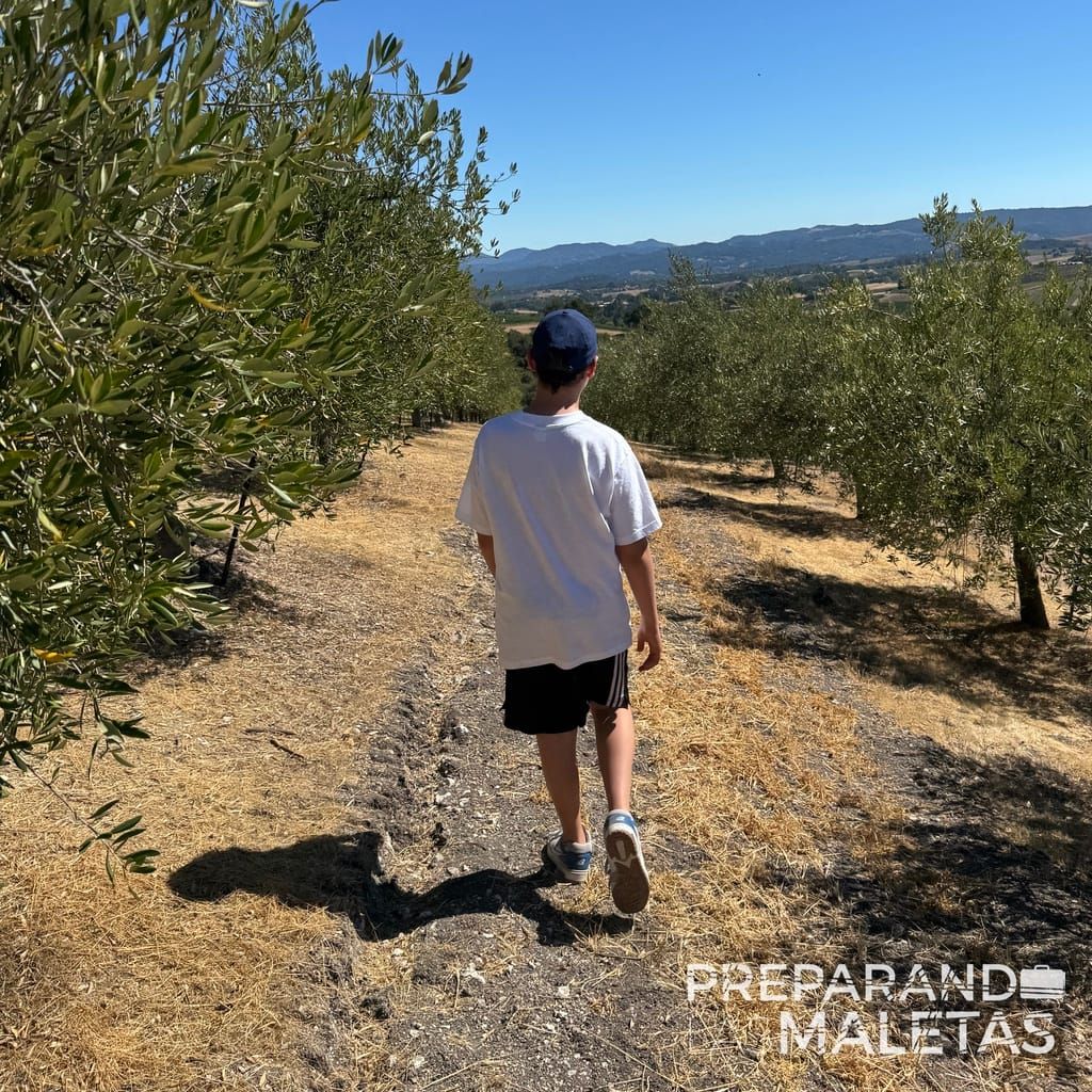 Killer Ridge Olive Farm: un tesoro gourmet en medio de Paso Robles