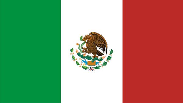 TEST: ¿DE VERDAD CONOCES LA BANDERA DE MÉXICO?