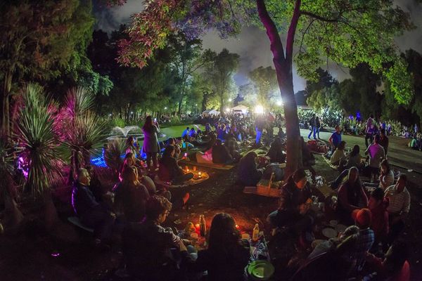 Vive el Picnic Nocturno de la CDMX este sábado, 12 de agosto