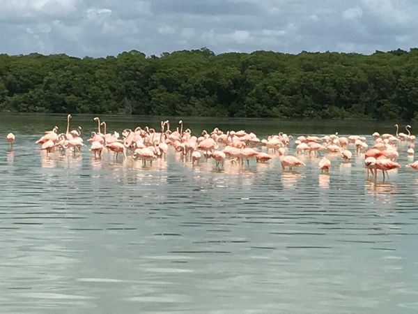 Roadtrip: Yucatán, Agosto