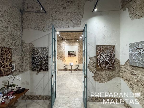 “Manglares”: la obra de Sara London que transforma la conciencia ambiental en arte en Mérida