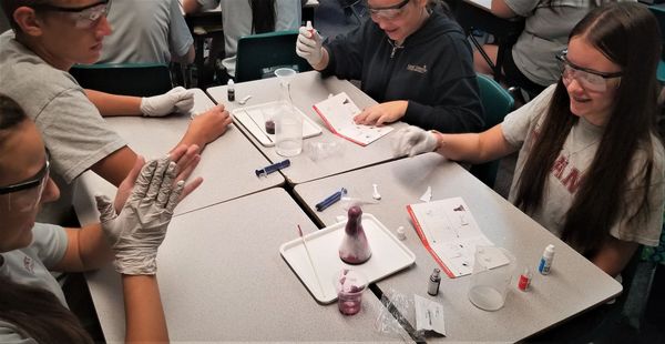 8th Grade students at St Timothy's Catholic School (U.S.) use MEL Chemistry to enhance their science lessons