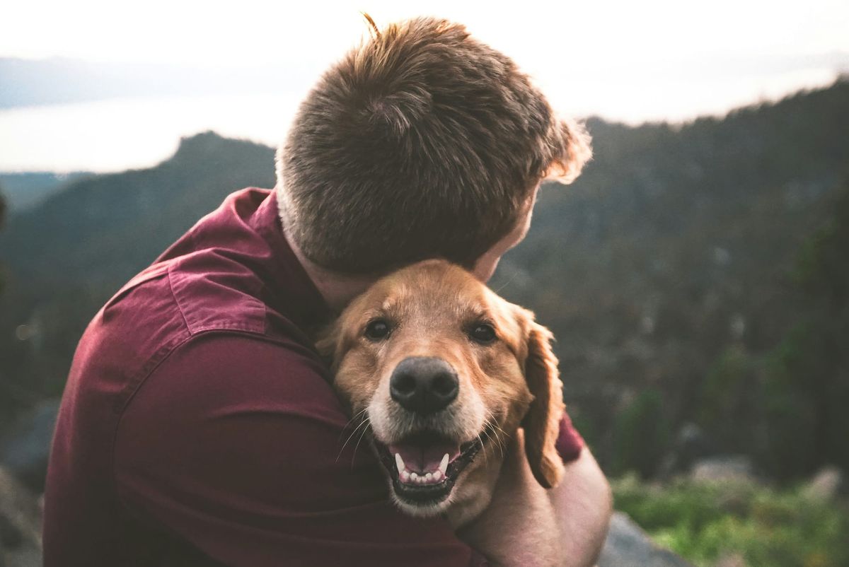 Best Gifts for Pet Lovers in 2026