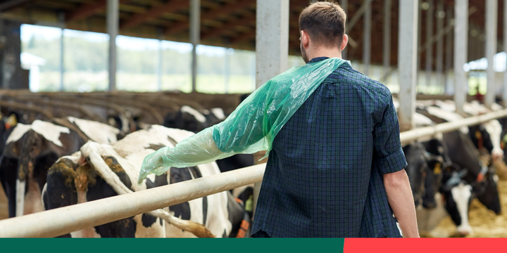 Misinformation Alert: The food industry is serving up misleading content