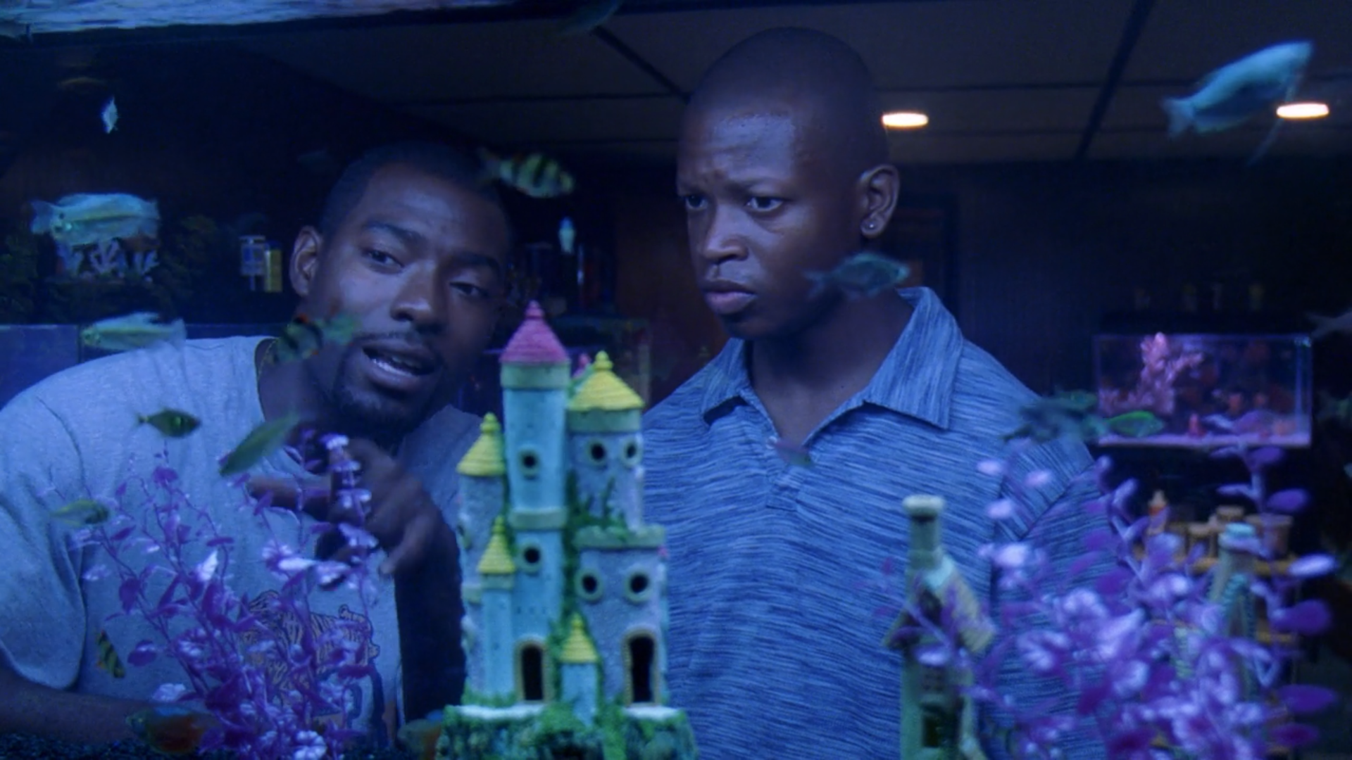 the wire & character