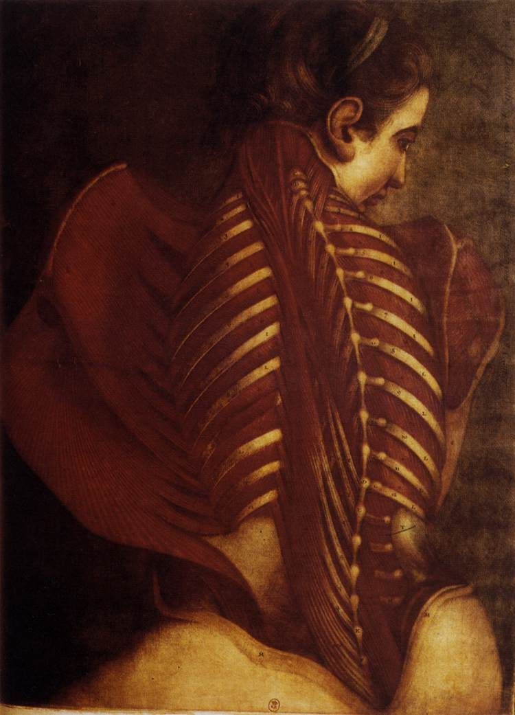 L'Ange anatomique