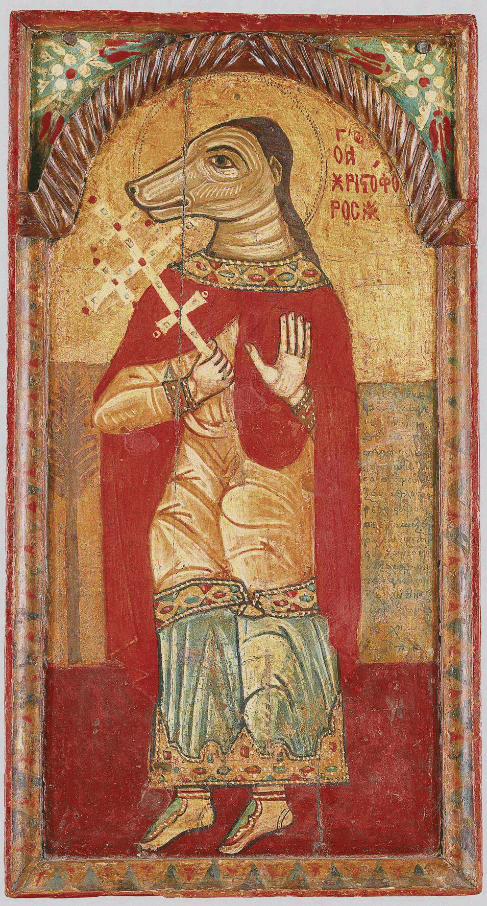 cynocephalus