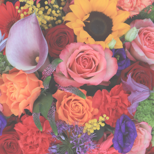 Crazy Beautiful Truth