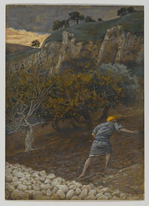 The Patience of the Harvest