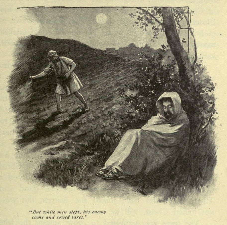 The Patience of the Harvest