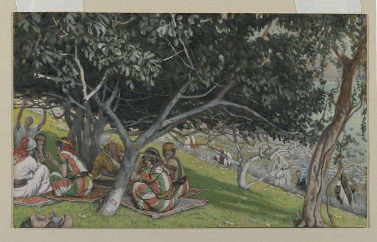 Seen Beneath the Fig Tree