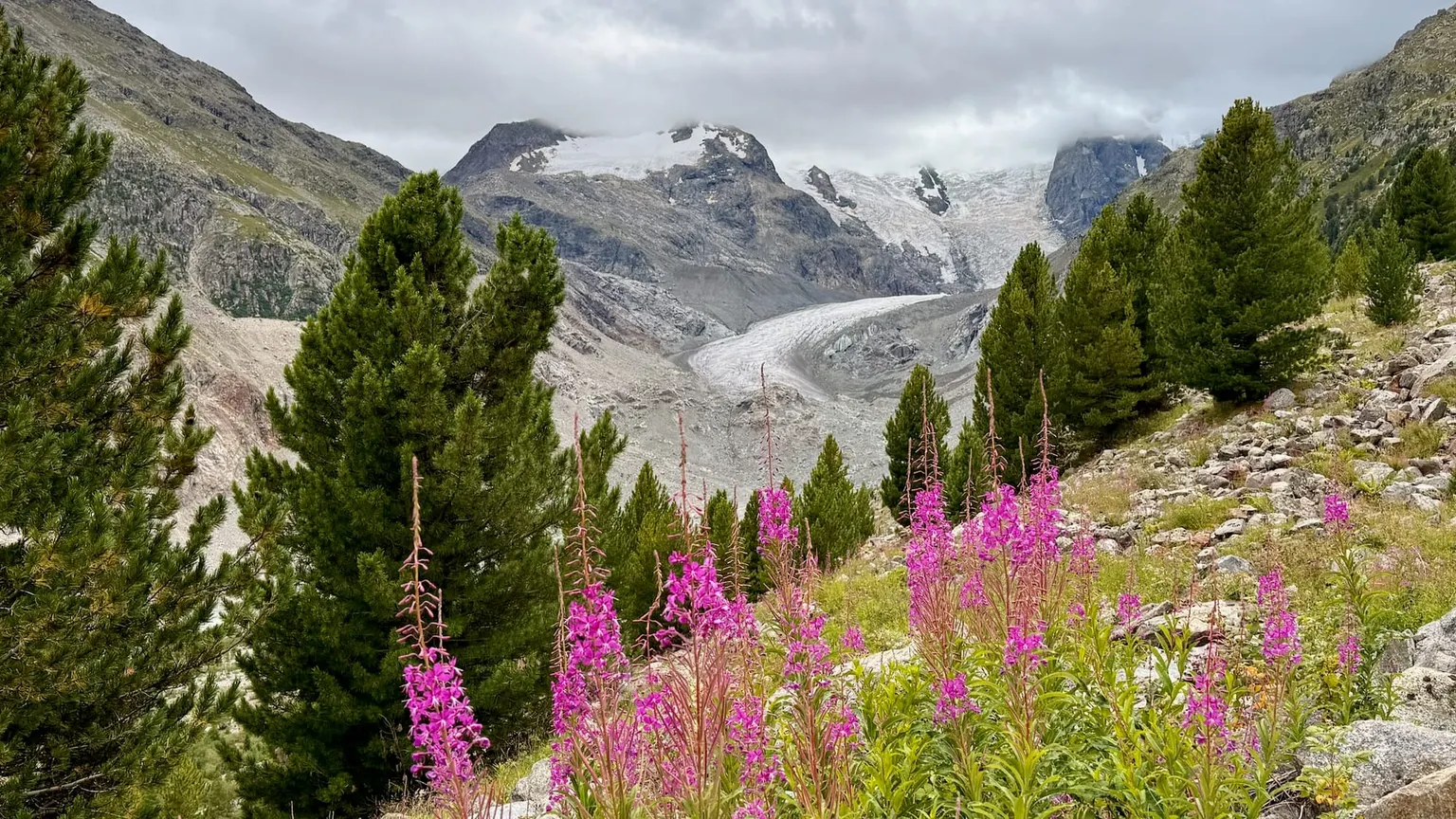 Morteratsch Glacier Hike