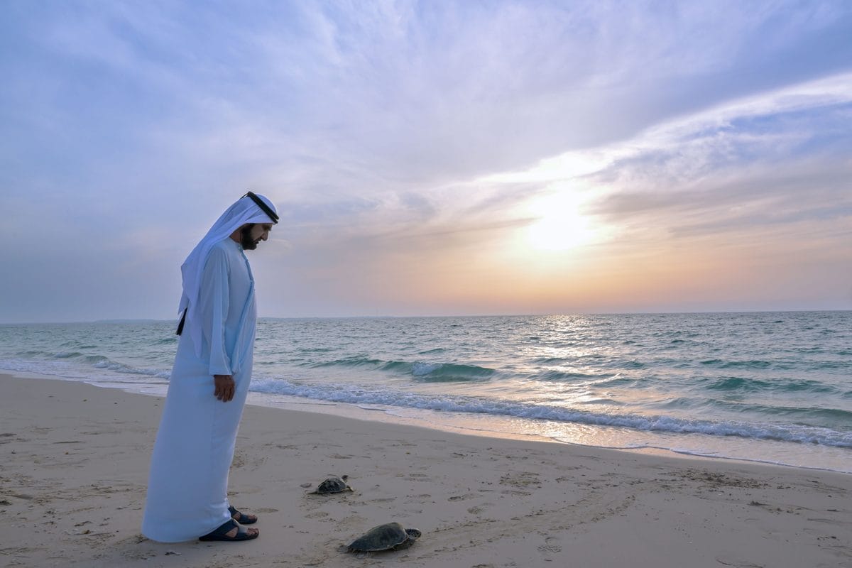 Dubai Master Plan for Public Beaches