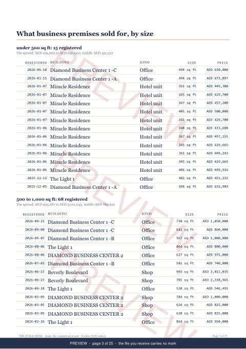 Page 3 of 25: where the rows begin of the Arjan Commercial Record Report, the twelve months, marked preview