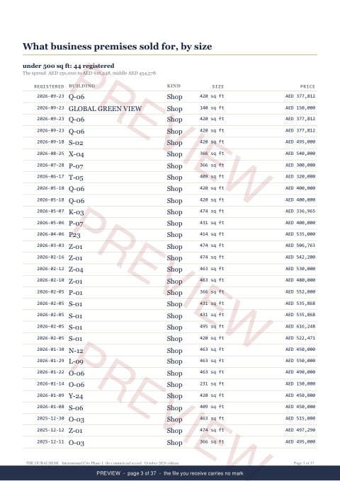 Page 3 of 37: where the rows begin of the International City Phase 1 Commercial Record Report, the twelve months, marked preview