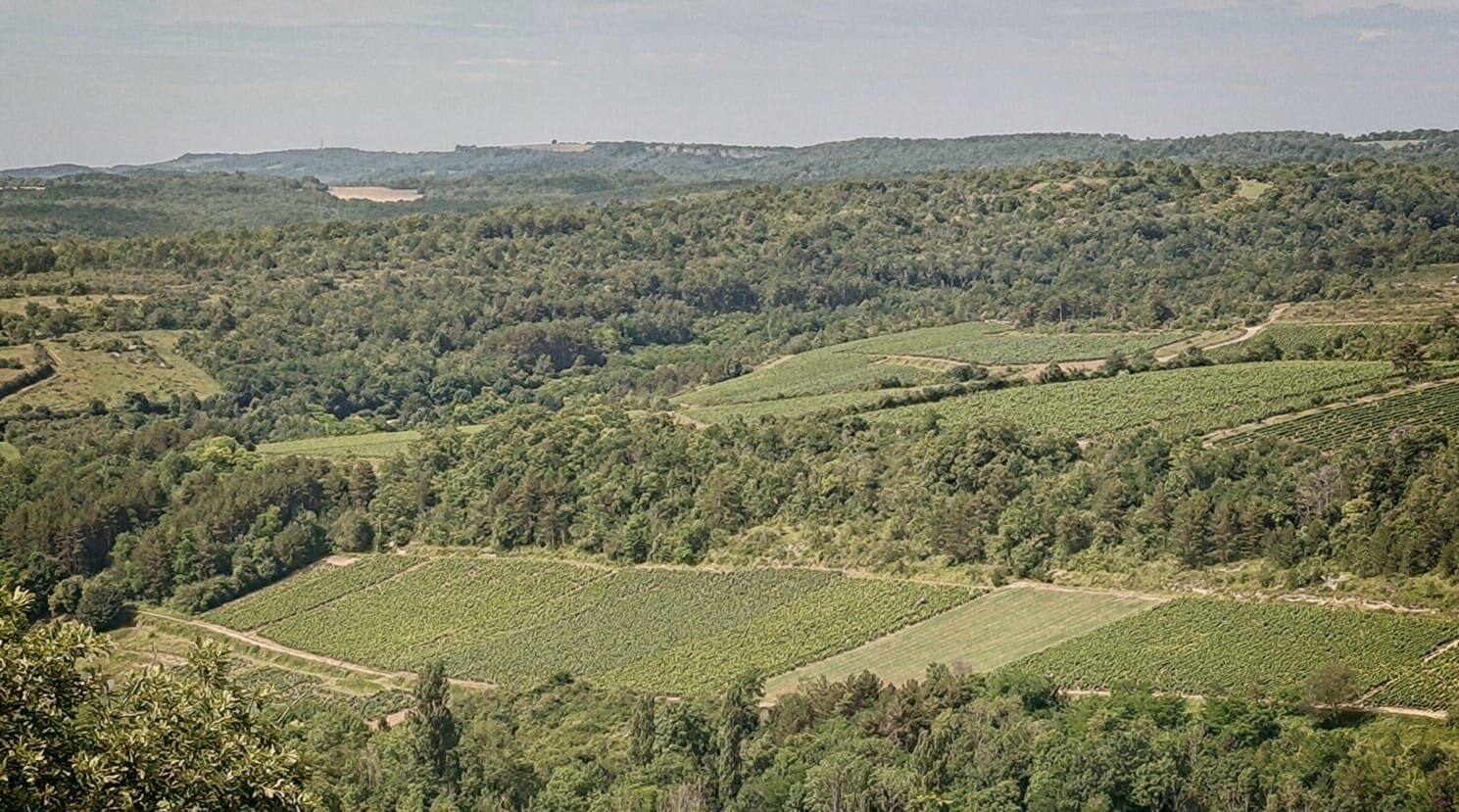 Beaune (2024)