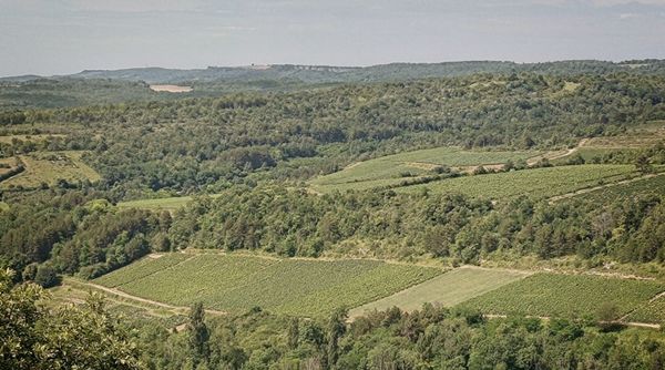 Beaune (2024)