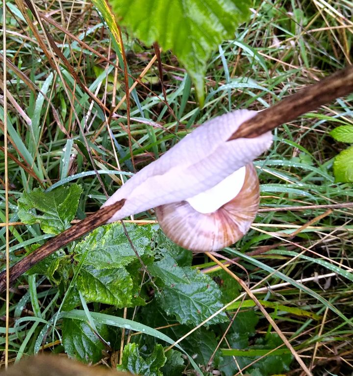 Jeden Tag ein kleines Stück vom Glück