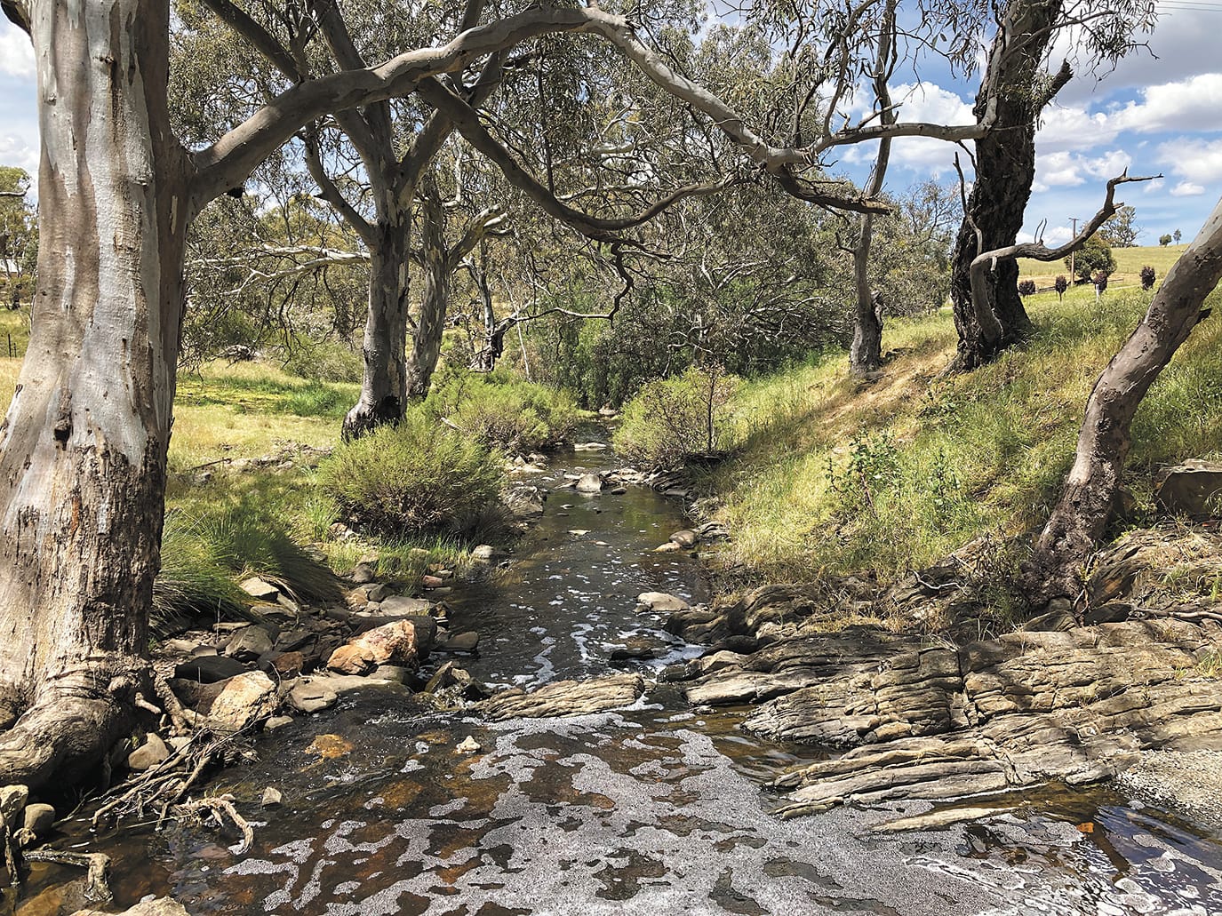 Public feedback sought before water use regulations review