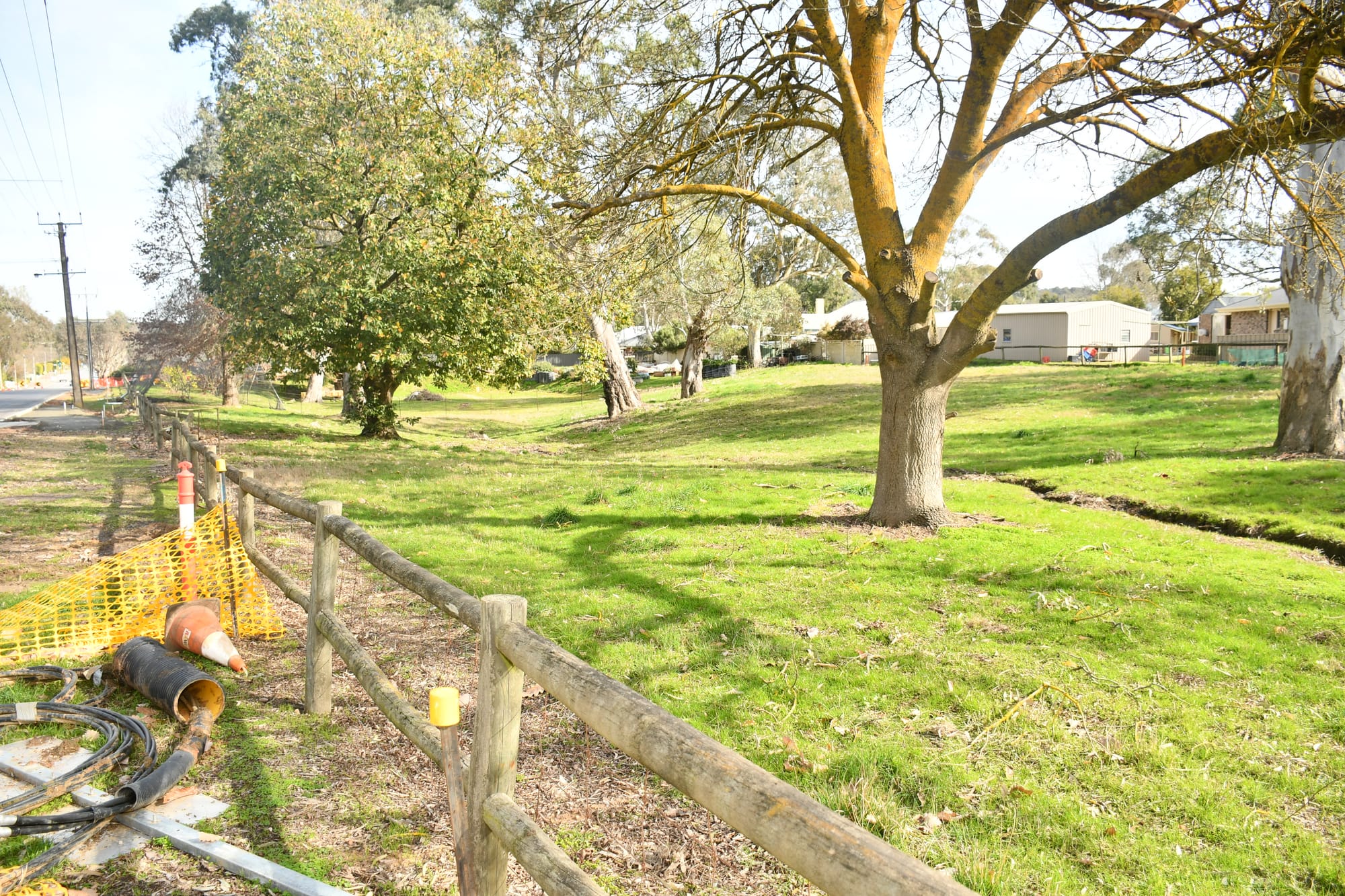 Tree to make way for church building