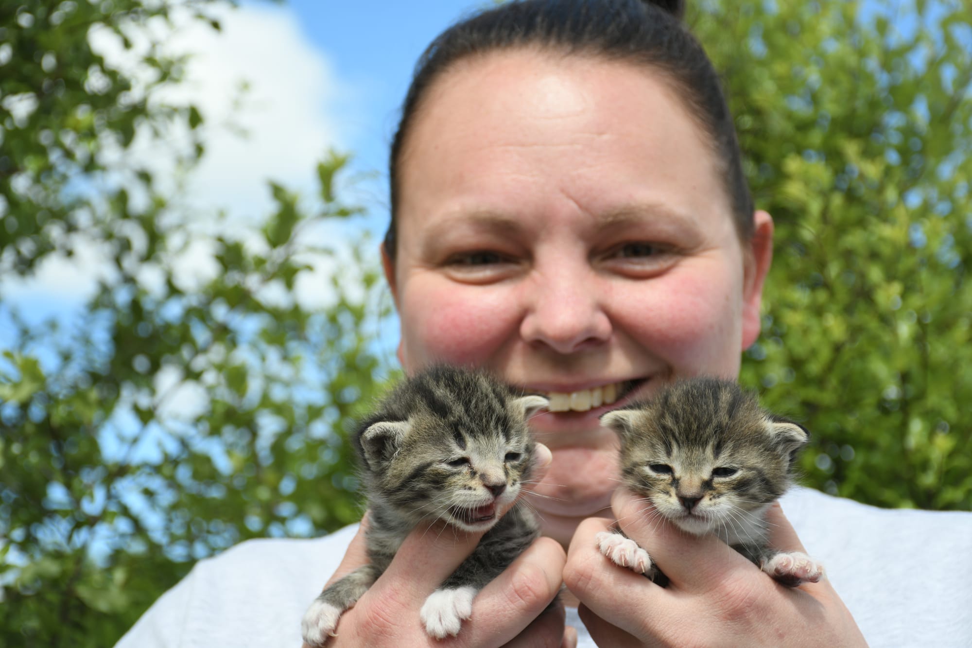 Kittens granted extra lives