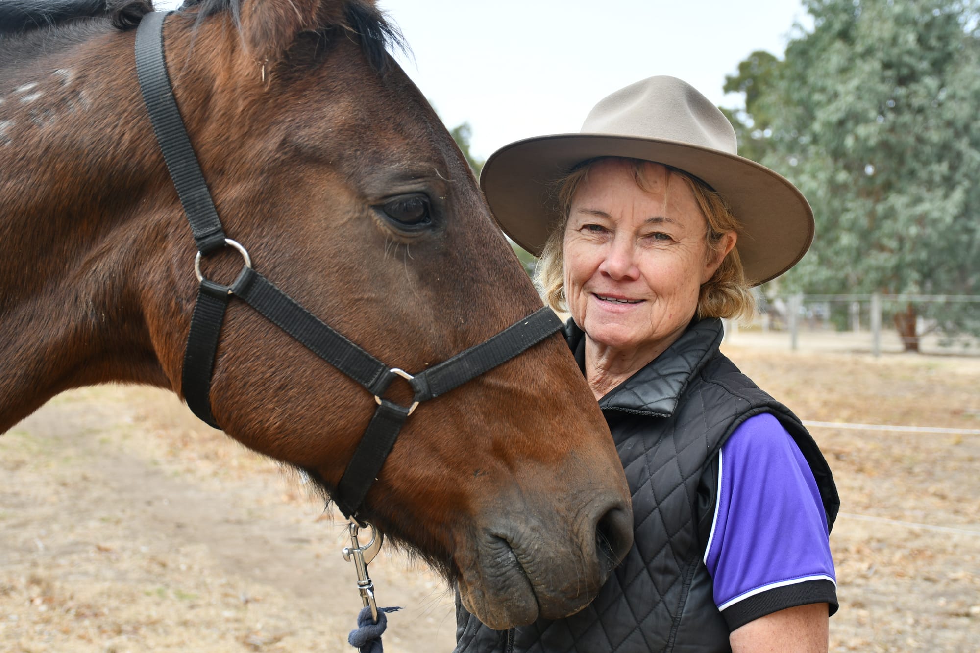 Not-for-profit organisation calls for drought support