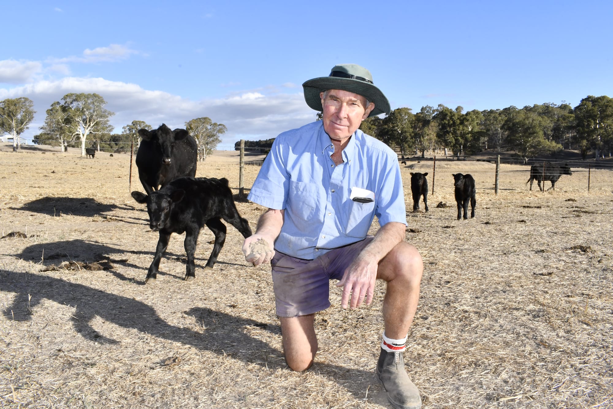 Farmers say drought Trumps tariffs