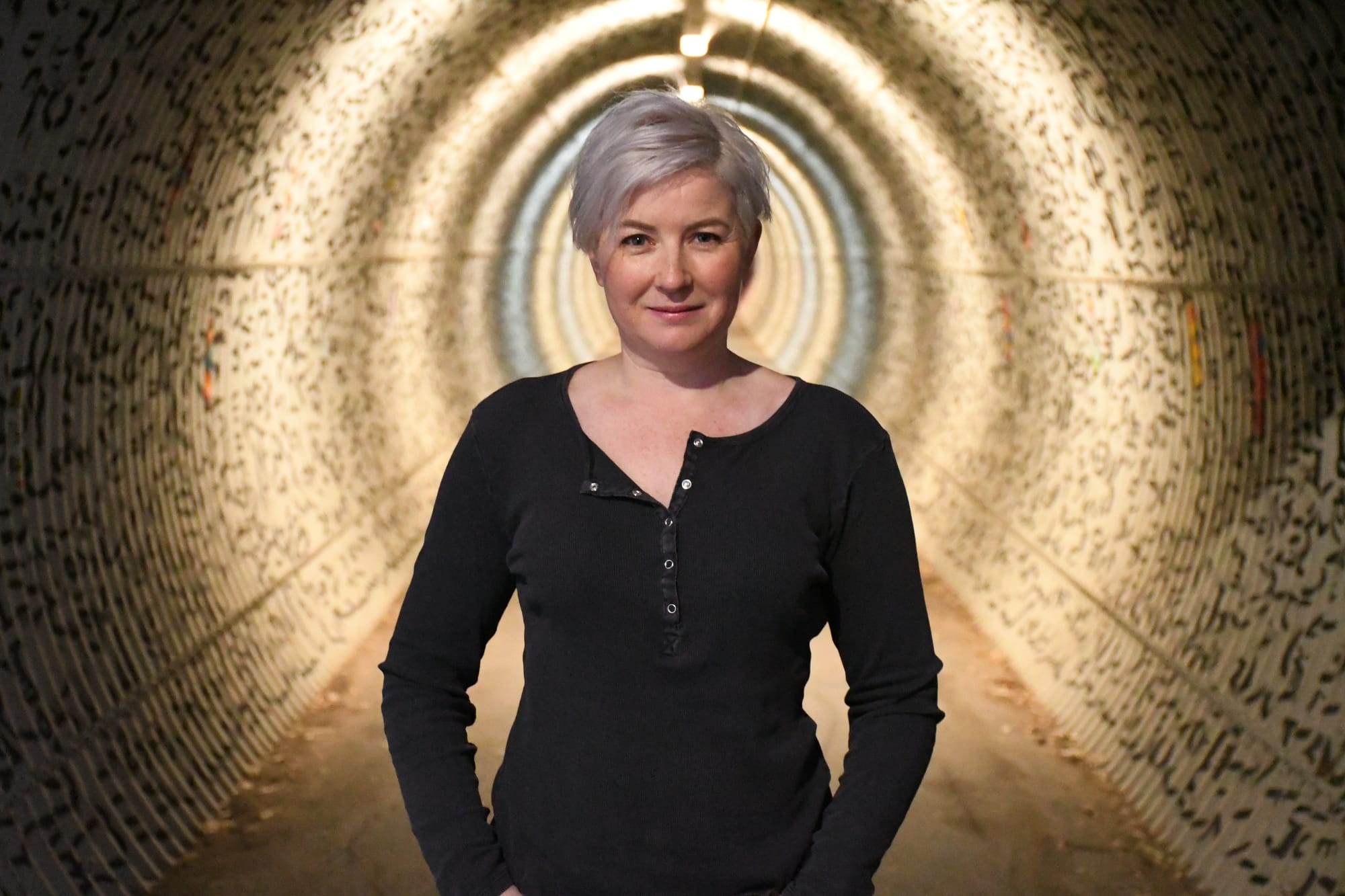 Council invests $50,000 in arts plan