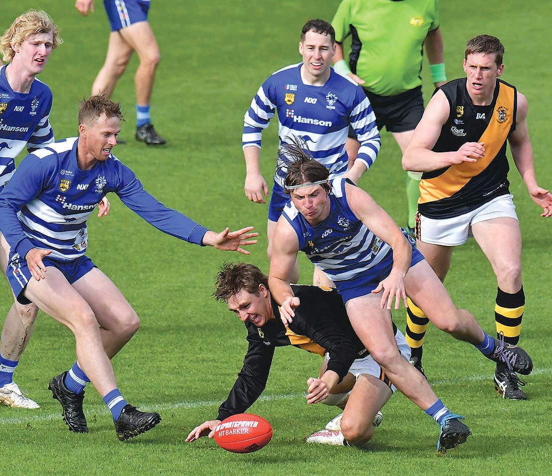 Roos stun premier