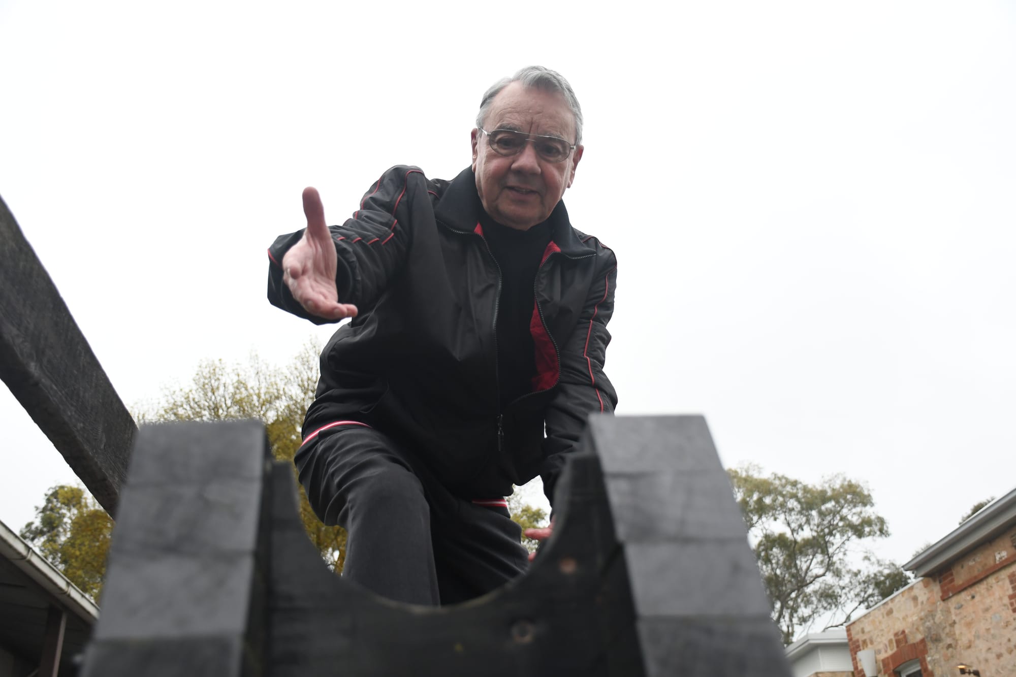 Wolfgang pleads for return of artefacts