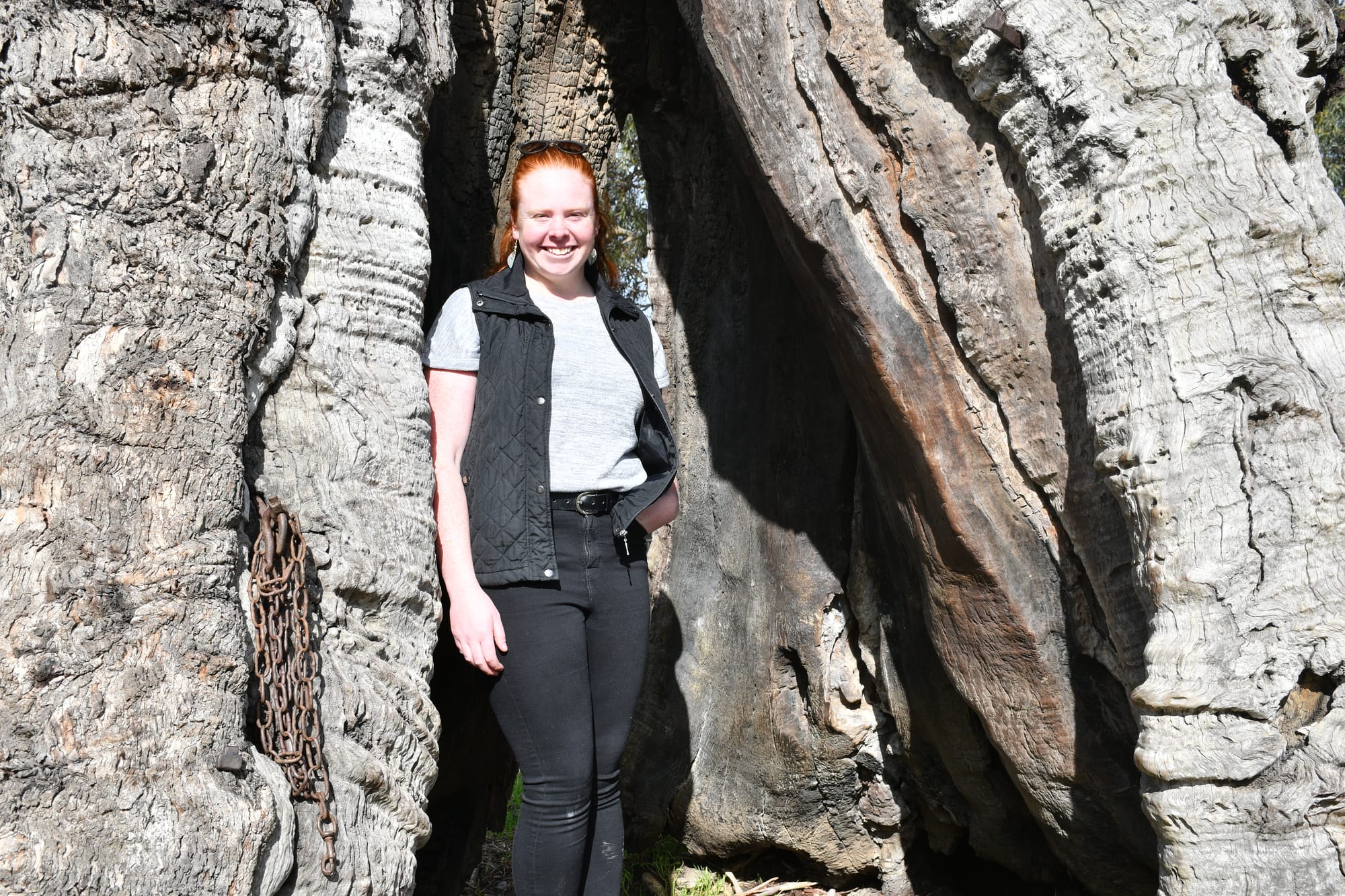 Smokehouse tree an award finalist