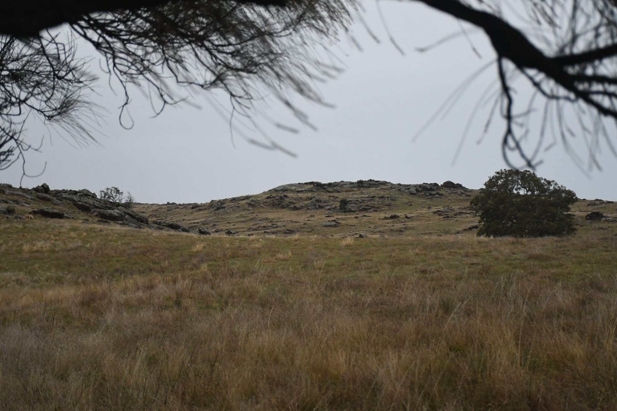Palmer wind farm still on the cards, as number of turbines reduced