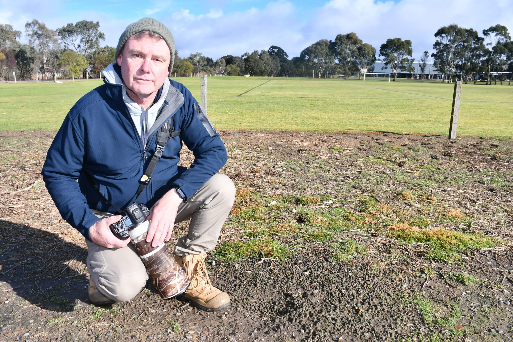 Camera captures extent of rabbit issue