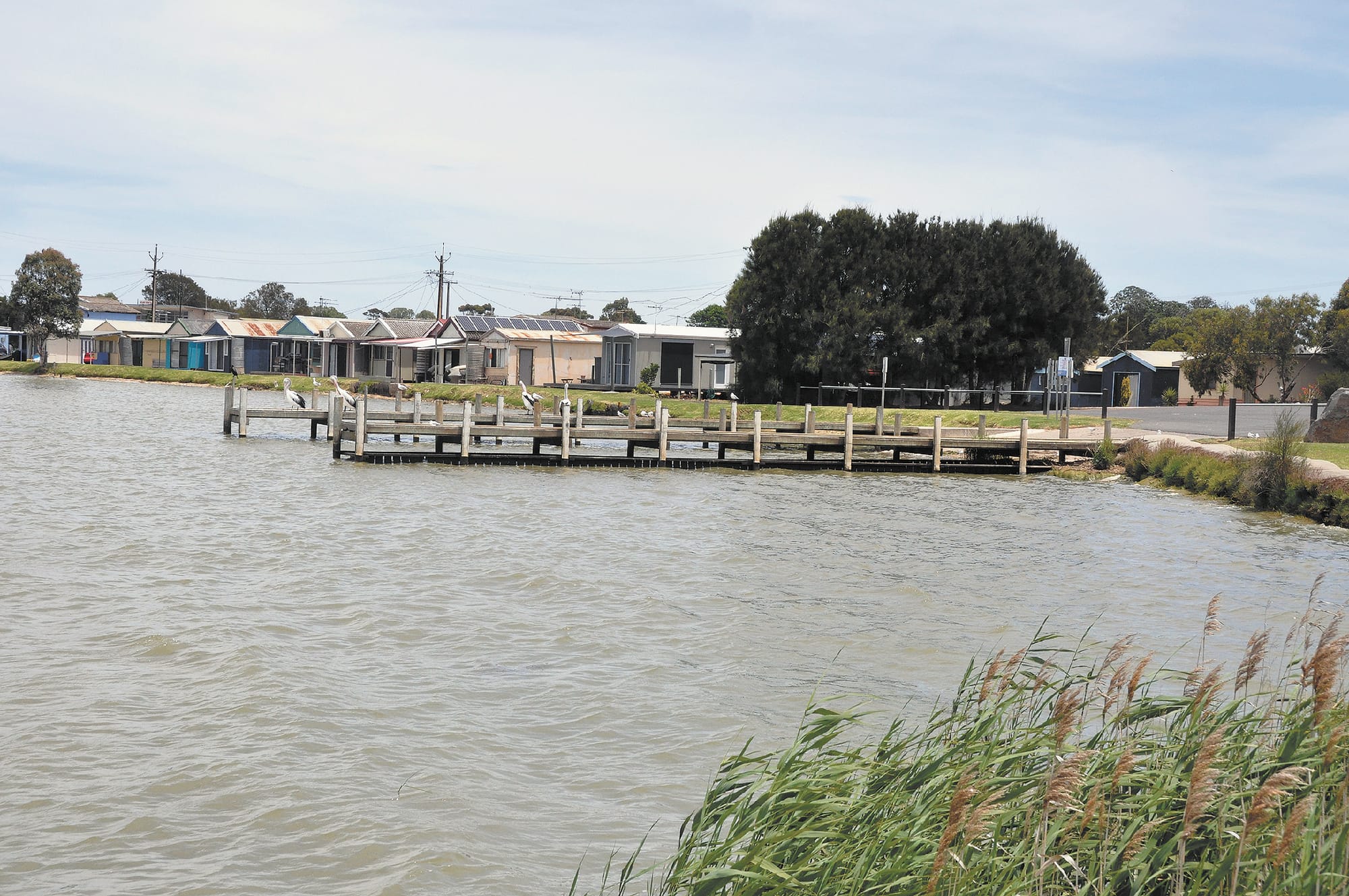 Sharkie calls for more action to preserve river health
