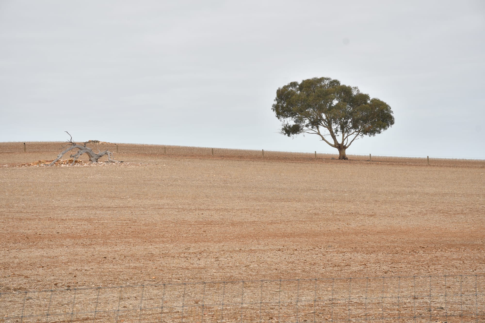 More drought funding released