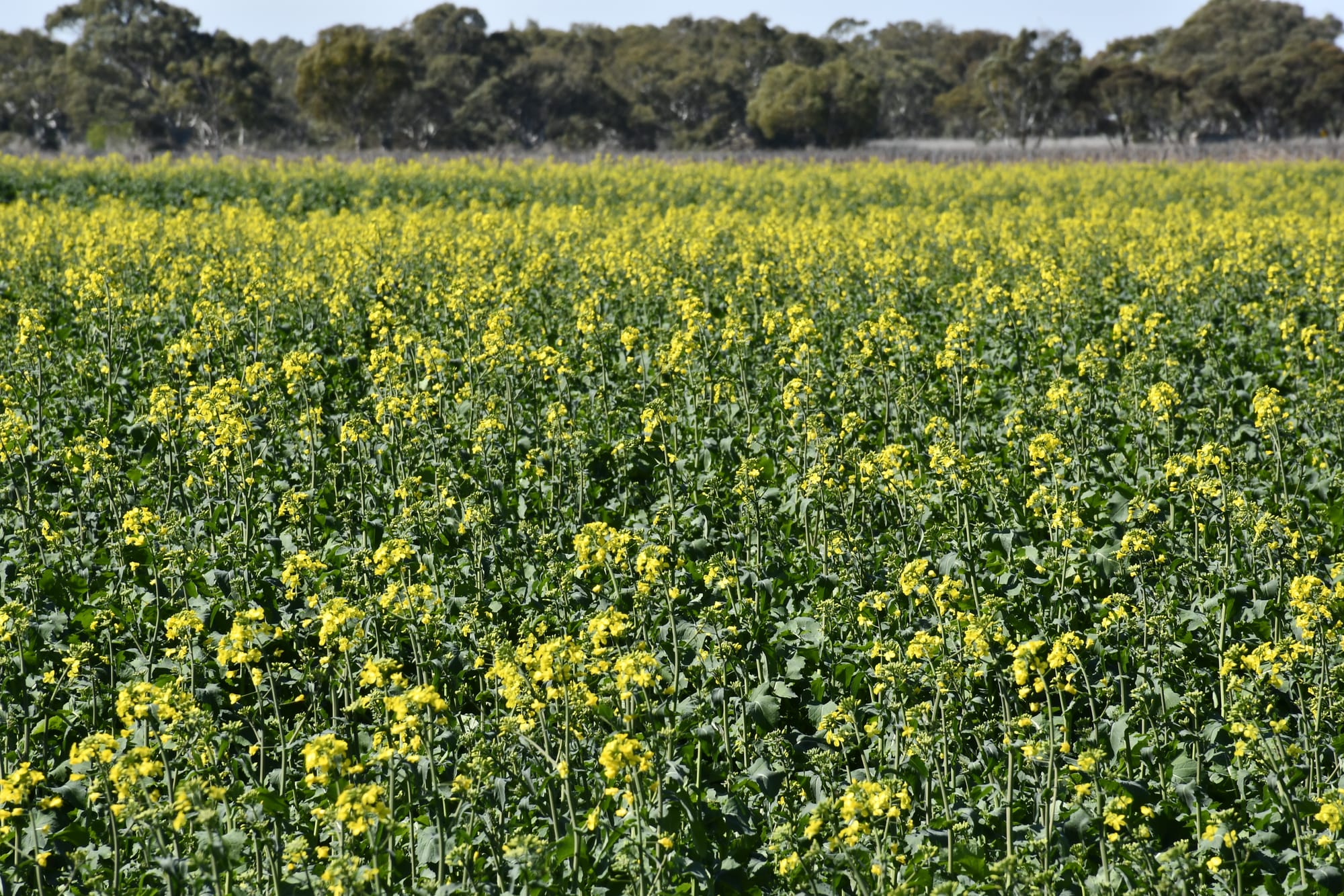 Season makes a 'dramatic turnaround'