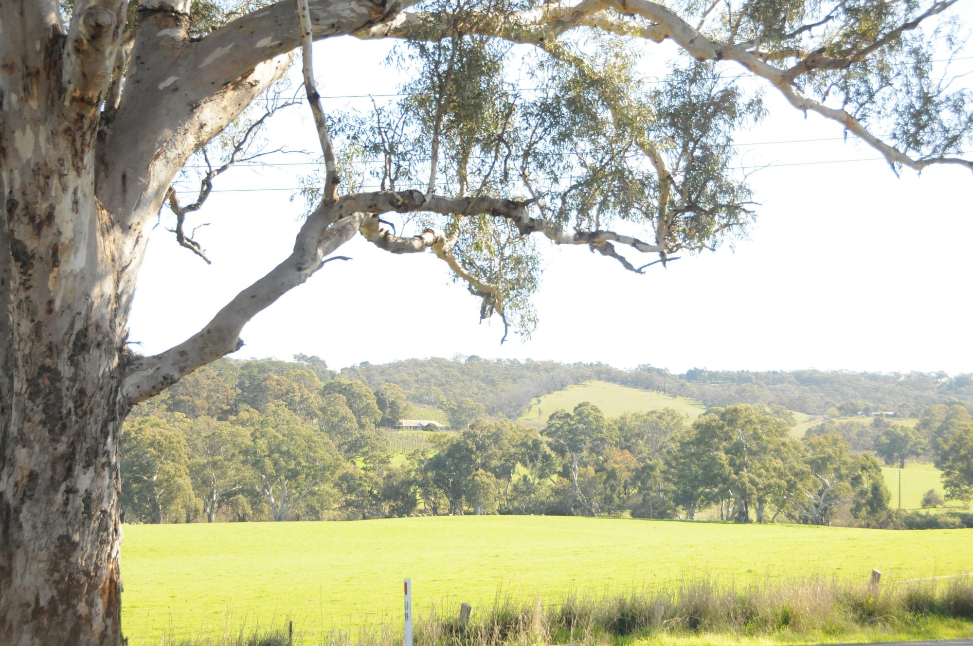 Powering on: controversial solar farm set to go ahead
