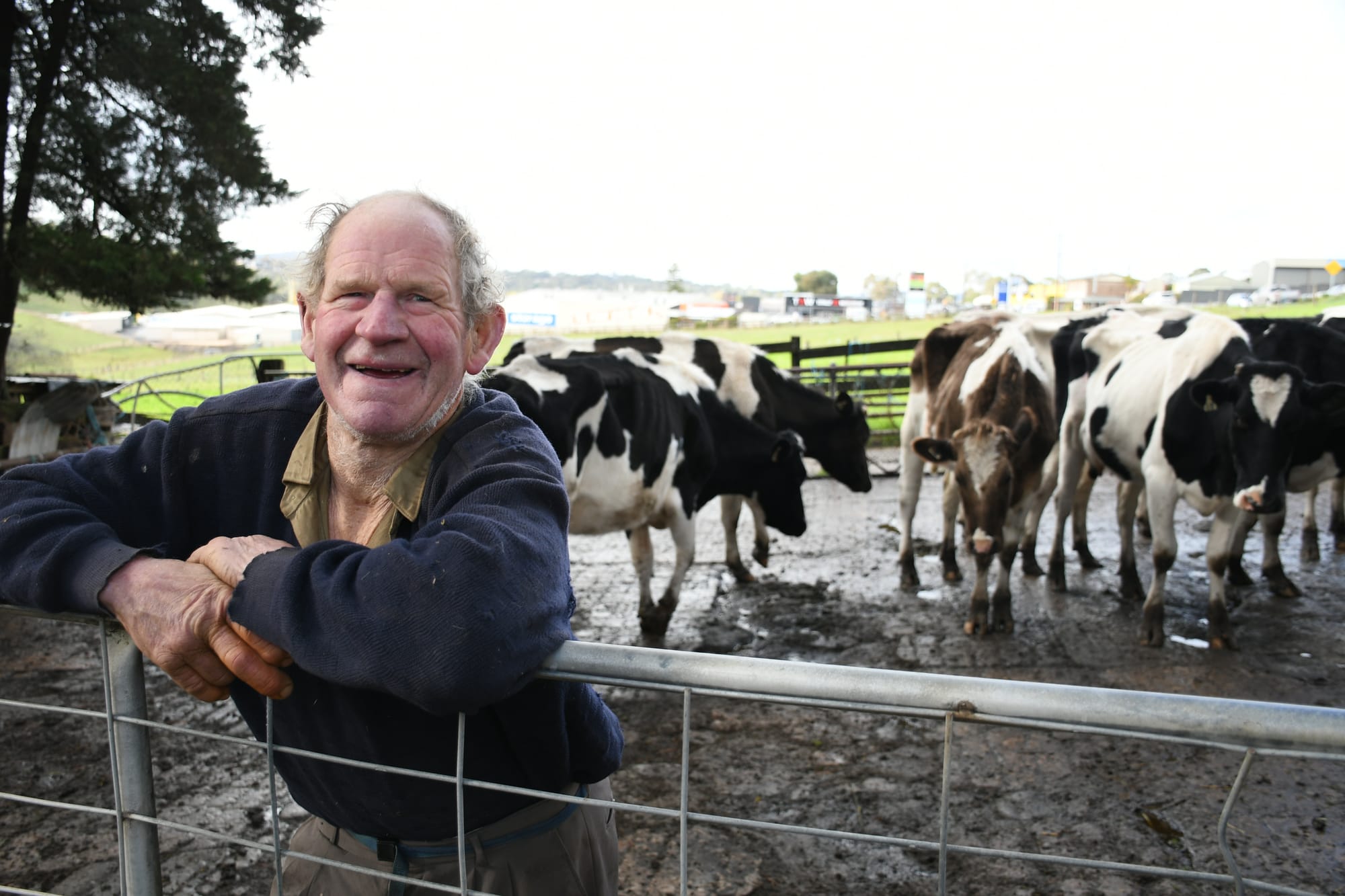 One of the region's last dairy farms to shut up shop