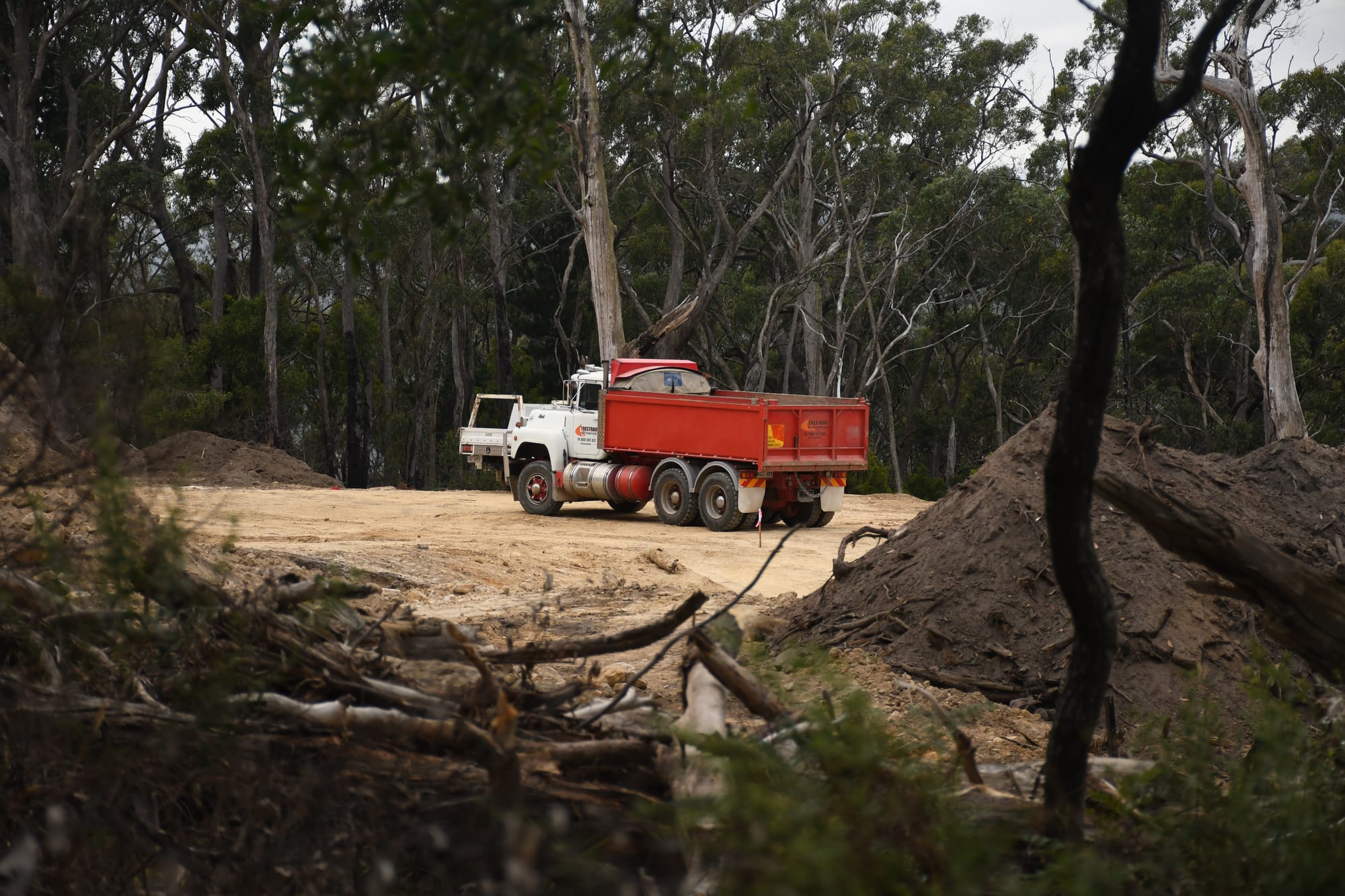 Enforcement notice issued over tree clearance