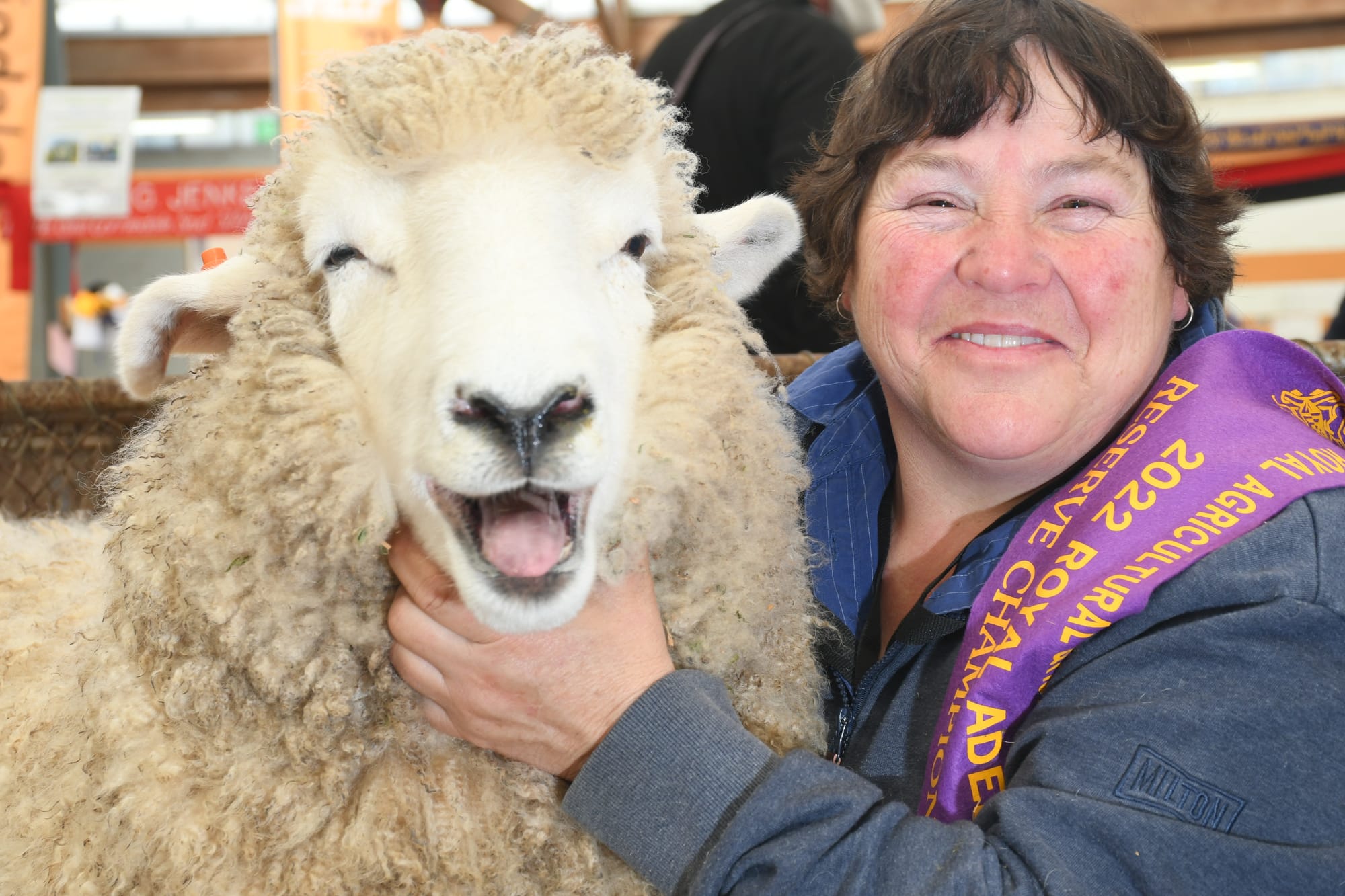 Show wins include champion ram and fleece