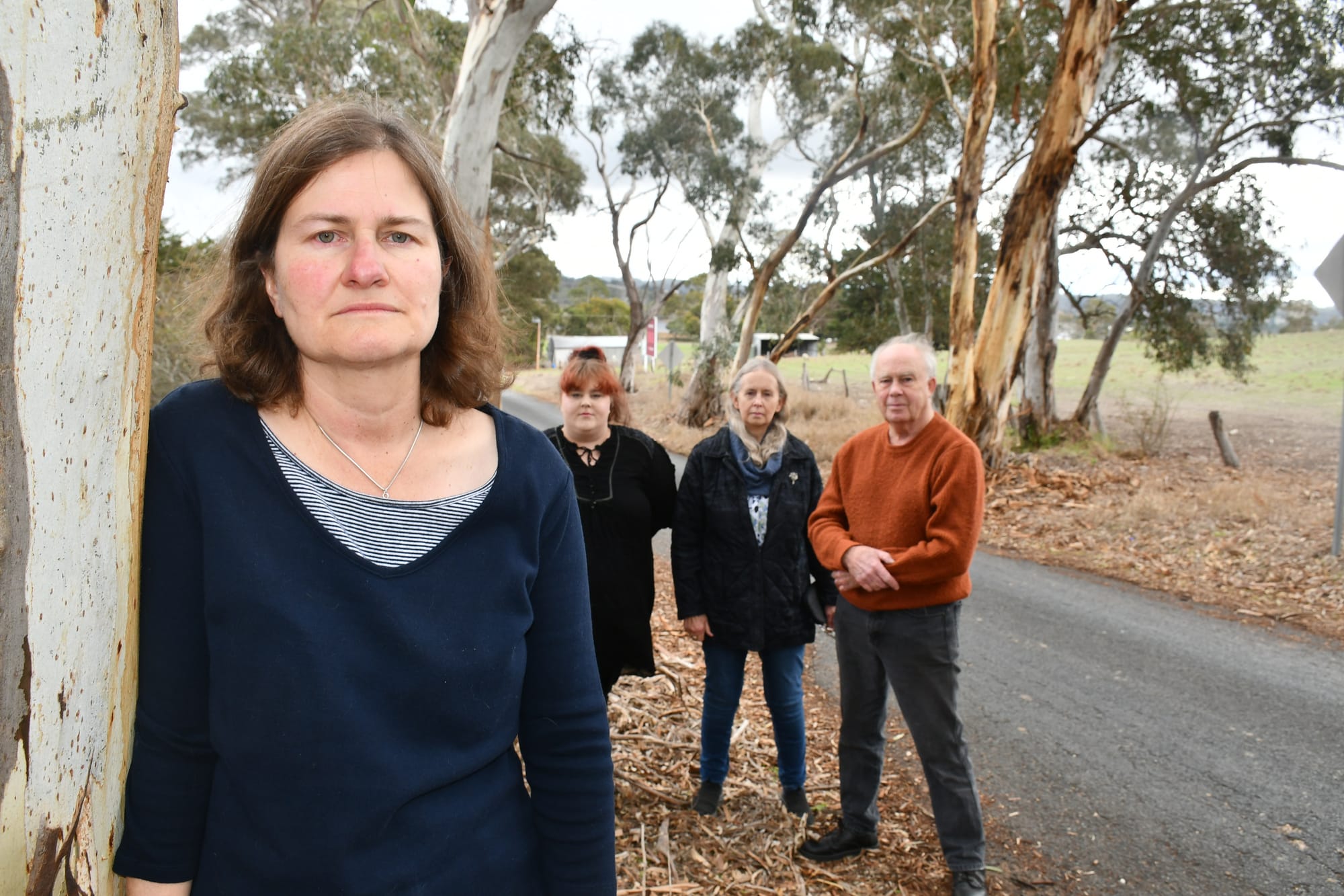 Residents push to save heritage trees